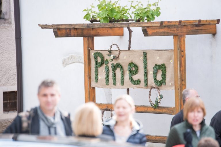 Druzenje s Pinelo