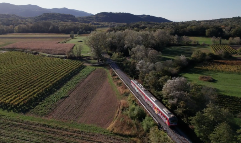 Wine train from air